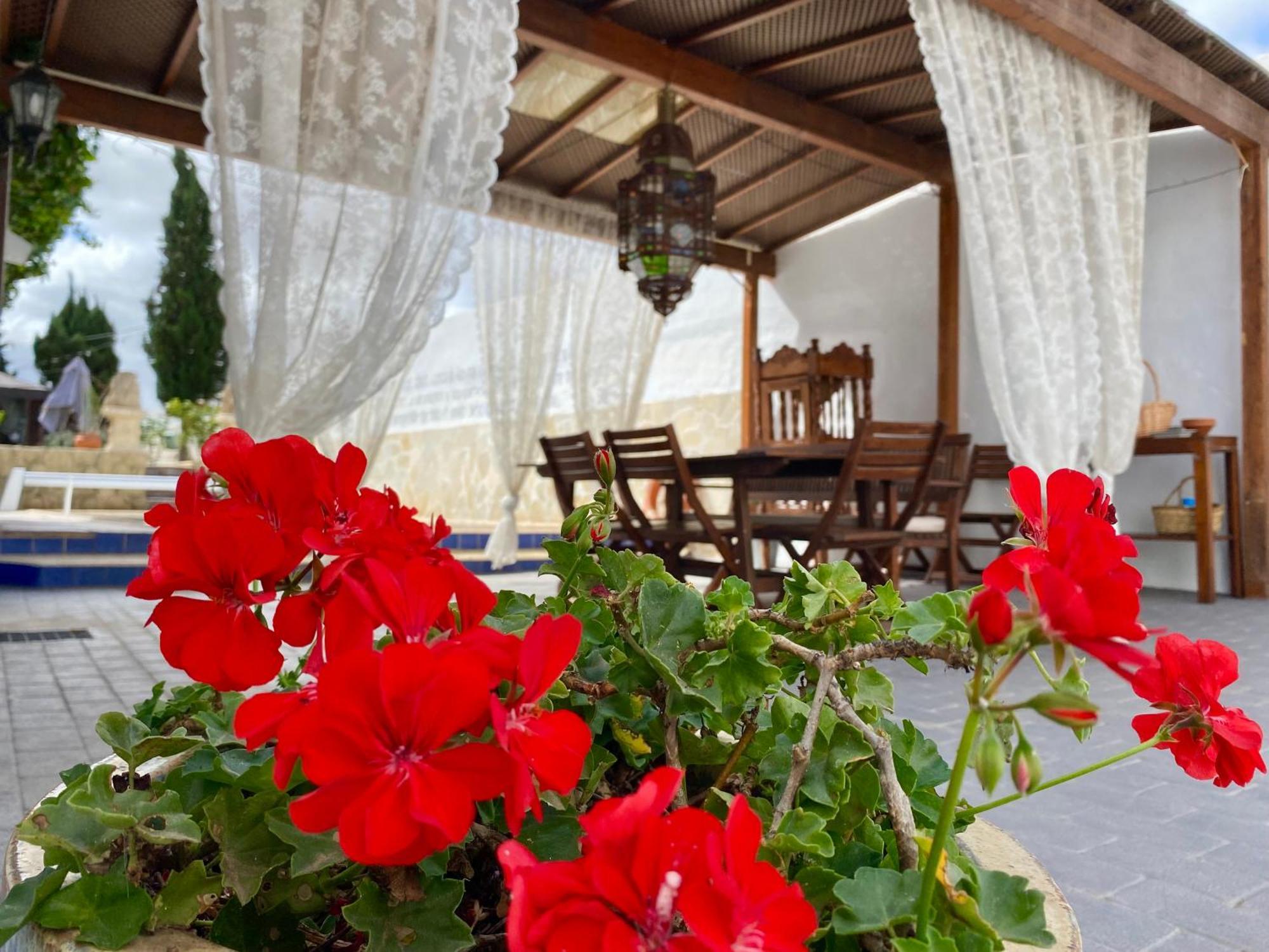 Authentic Canary Style Villa With Private Pool And Garden- Casa Juan Vera Granadilla De Abona Exterior foto